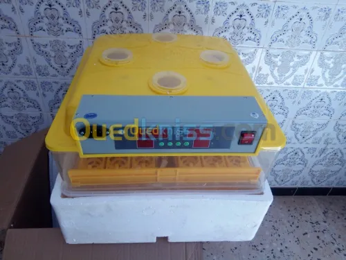 فقاسة أوتوماتيكية