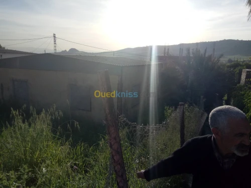 Vente Terrain Constantine Didouche mourad