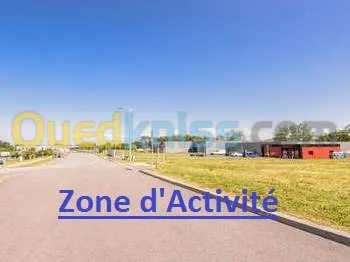 Vente Terrain Setif Setif