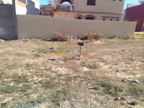 Vente Terrain Tlemcen Bab el assa