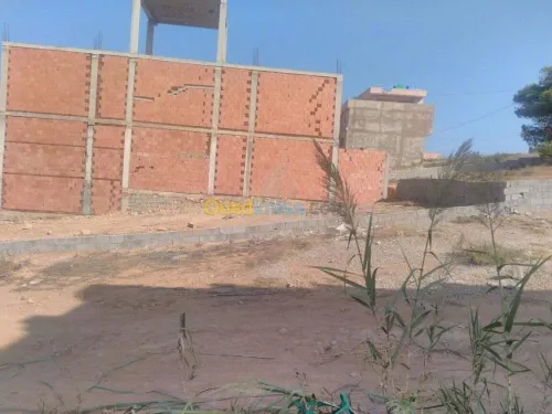 Vente Terrain Tlemcen Honaine