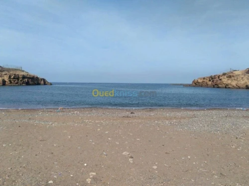 Vente Terrain Tlemcen Honaine