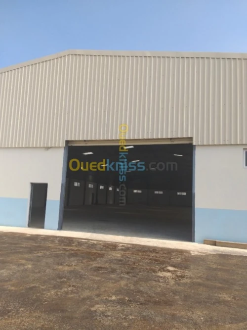 Location Hangar Boumerdes Boudouaou