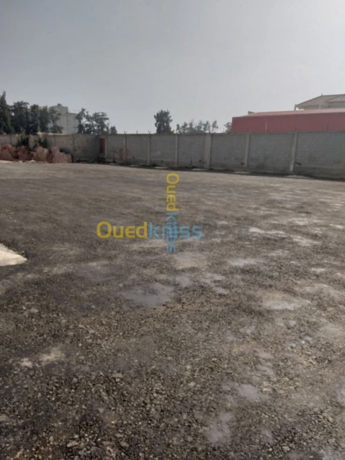 Location Hangar Boumerdes Boudouaou
