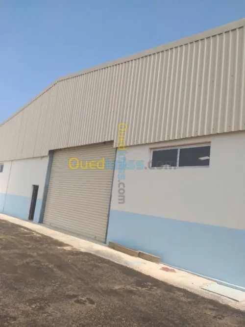 Location Hangar Boumerdes Boudouaou