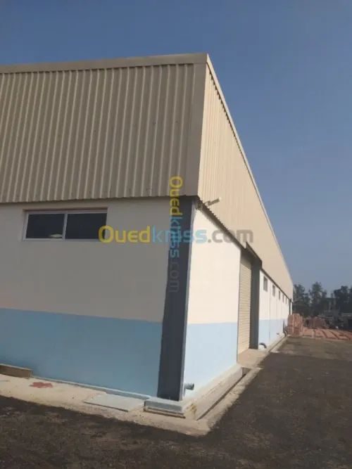 Location Hangar Boumerdes Boudouaou