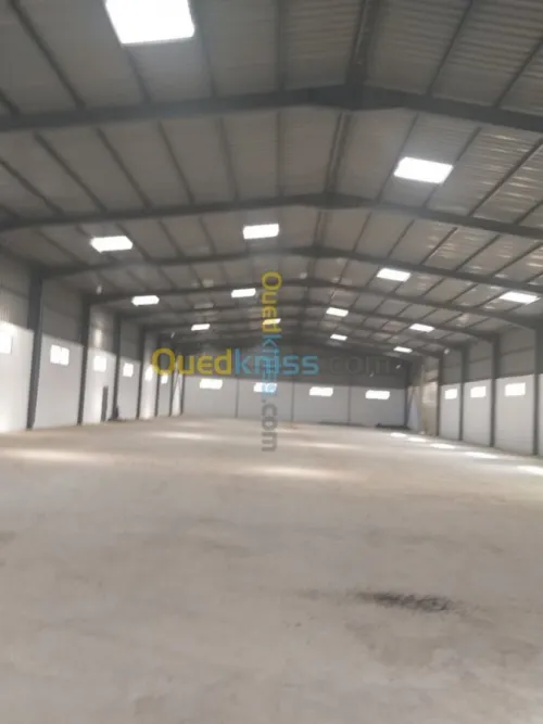 Location Hangar Boumerdes Boudouaou