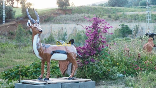 Statue et animaux a taille réelle 