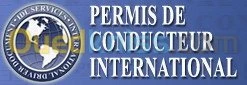 Permis de conduire international