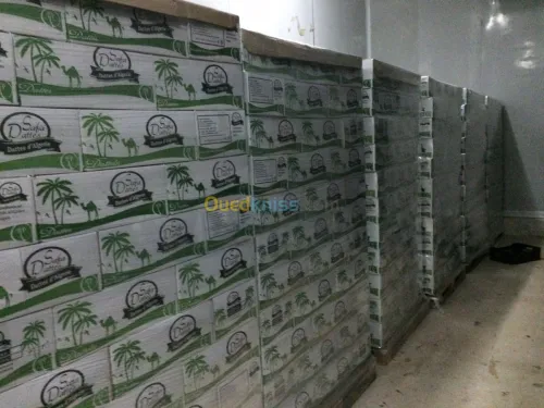 Location Usine Biskra Biskra