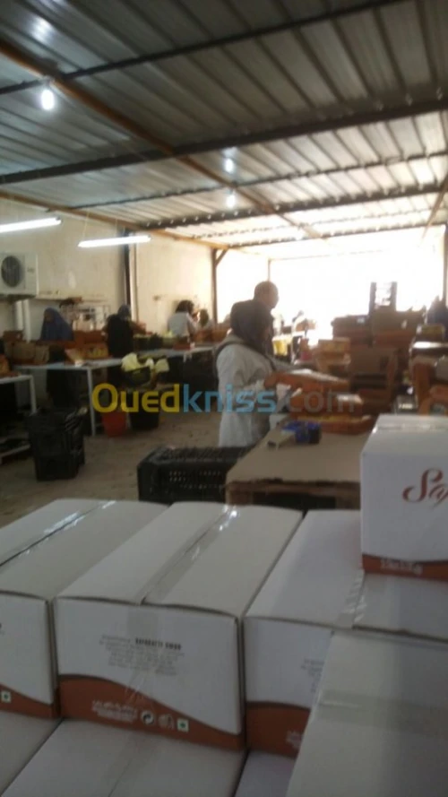 Location Usine Biskra Biskra