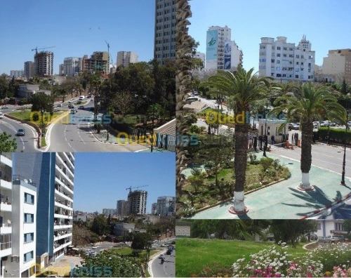 Location Appartement Studio Oran Oran