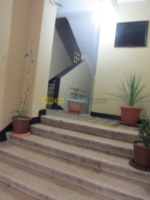 Location Appartement Studio Oran Oran