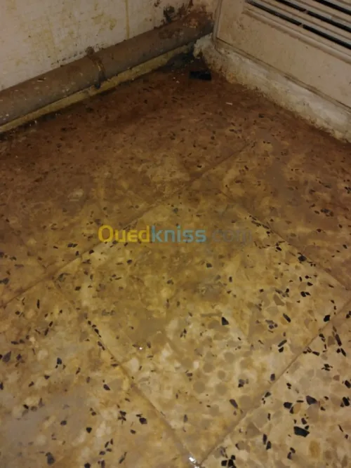 Ponçage et lustrage des sols 