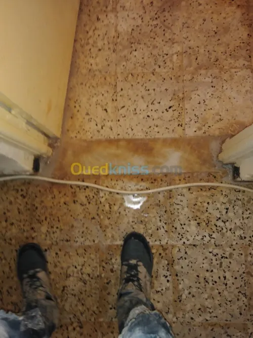 Ponçage et lustrage des sols 