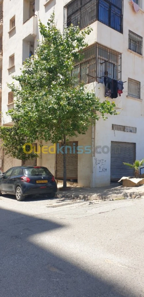 Vente Local Oran Bir el djir