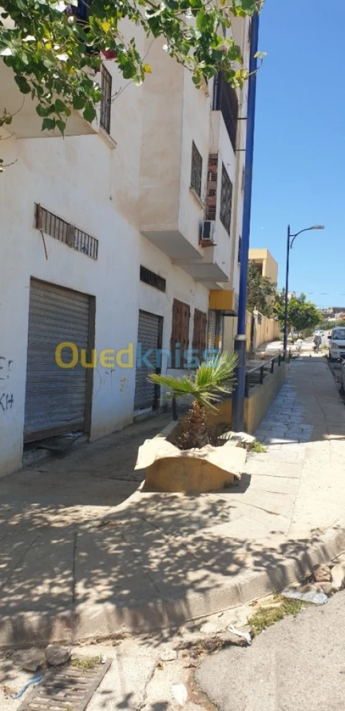 Vente Local Oran Bir el djir