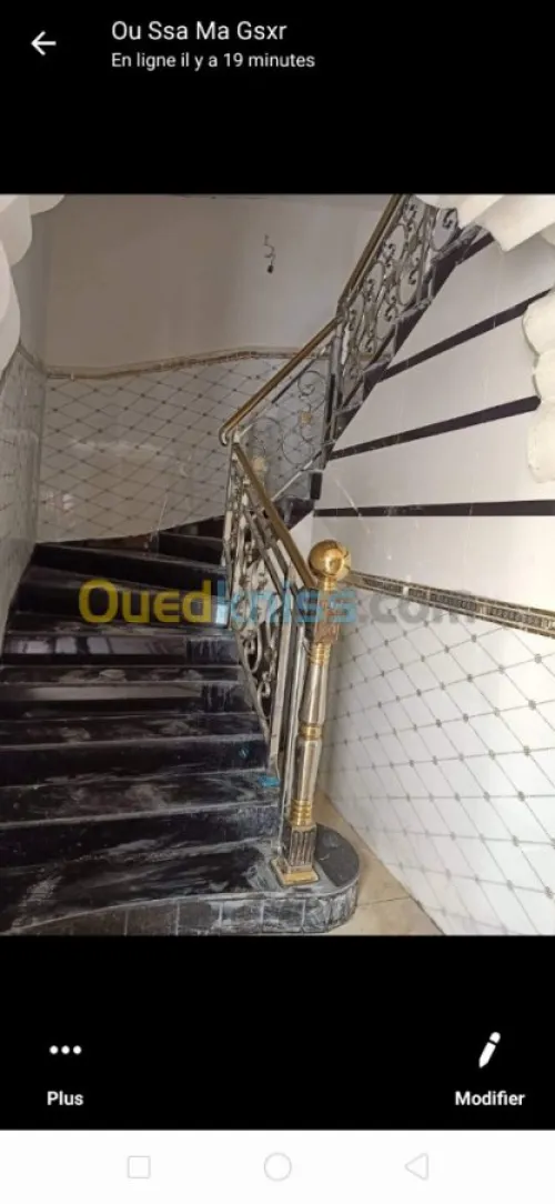 Rampe d'escalier en inox et Gard corps