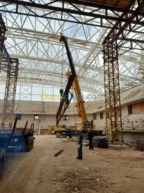 location de grue mobile 