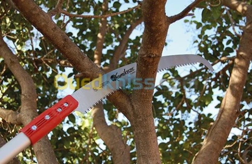 SCIE TÉLESCOPIQUE TLX 3×1,5 360 bh