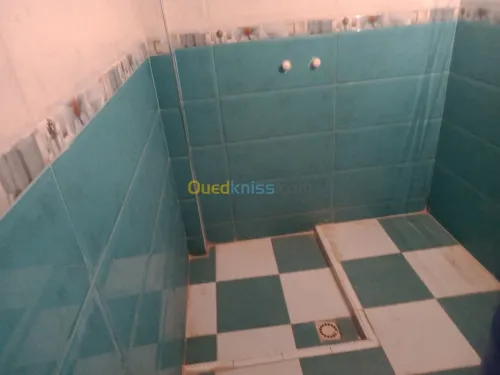 Vente Villa Oum El Bouaghi Meskiana