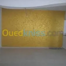 Placo Platre decoration et Peinture 
