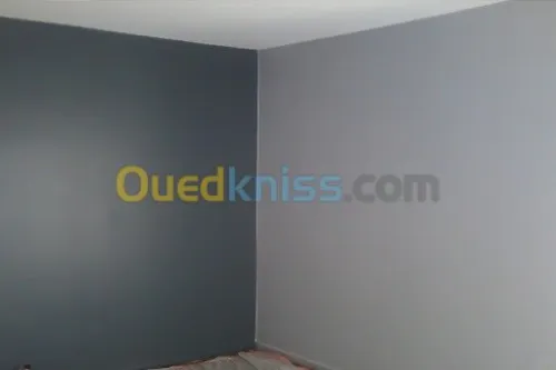 Placo Platre decoration et Peinture 
