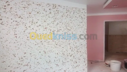 Placo Platre decoration et Peinture 