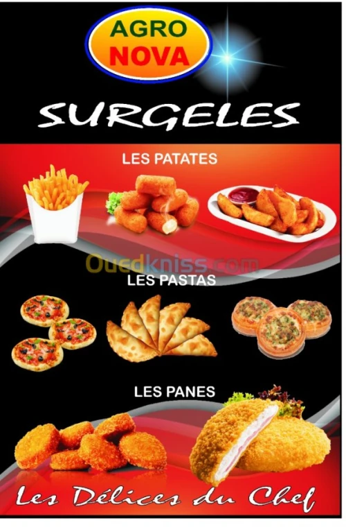 PLATS PREPARES SURGELES PRODUCTION