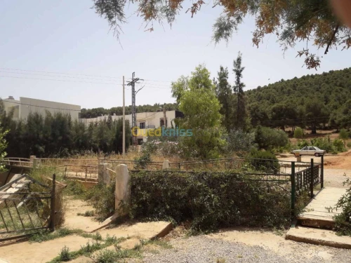 Vente Villa Tlemcen Ain fezza