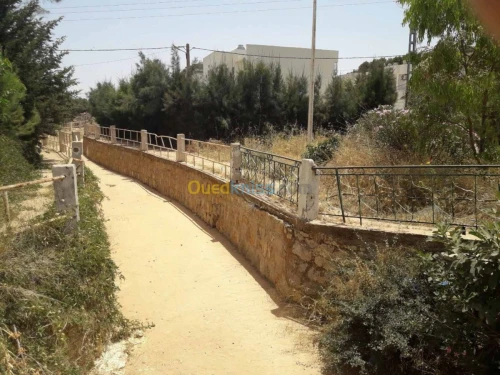 Vente Villa Tlemcen Ain fezza