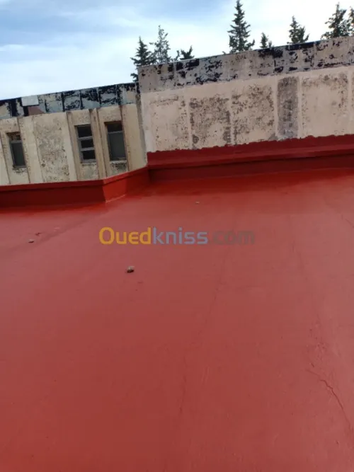 ÉTANCHÉITÉ professionnel liquide et cl