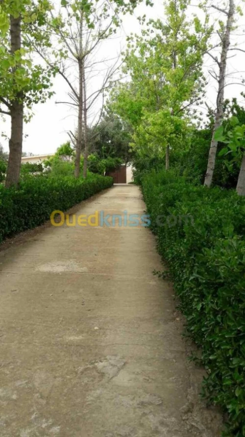 Location vacances Villa Tlemcen Tlemcen