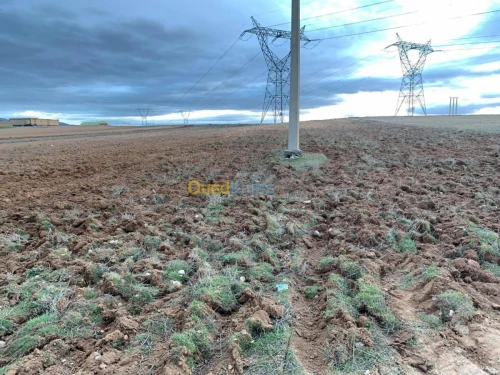 Vente Terrain Setif Guelal
