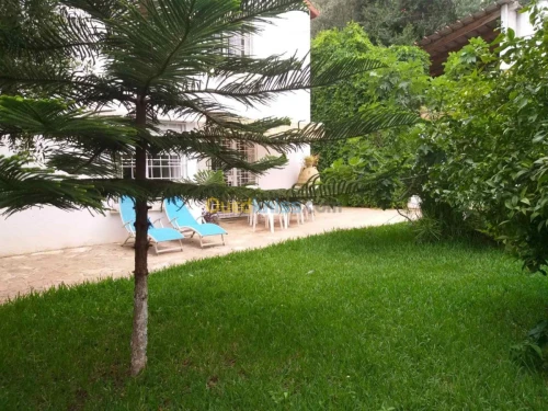 Location Appartement F3 Alger Birkhadem