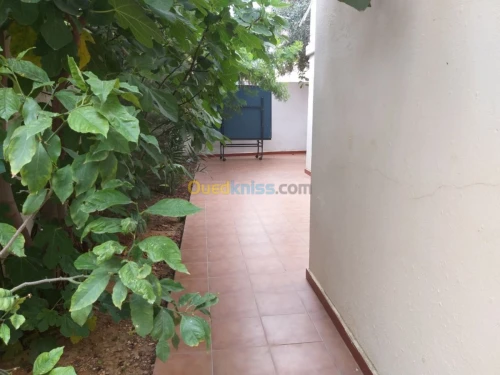 Location Appartement F3 Alger Birkhadem