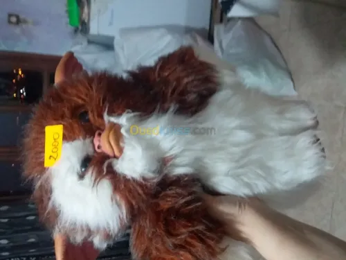 Jouet toooopppp original