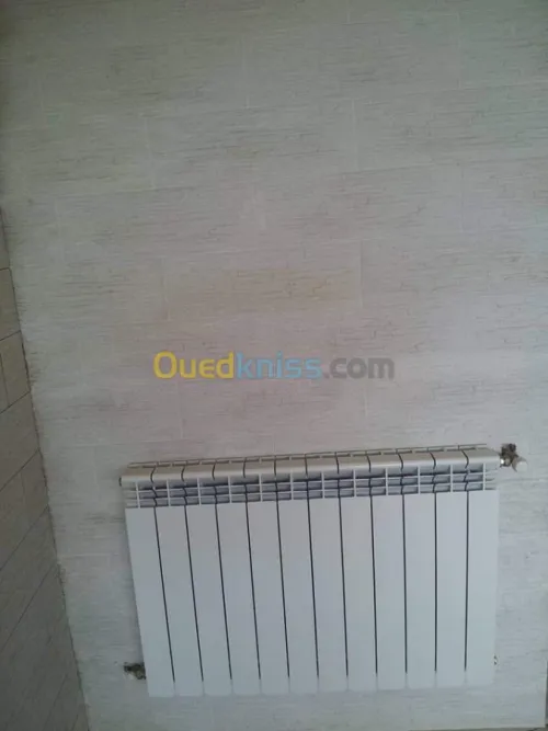 Plombie générale chauffage central et 