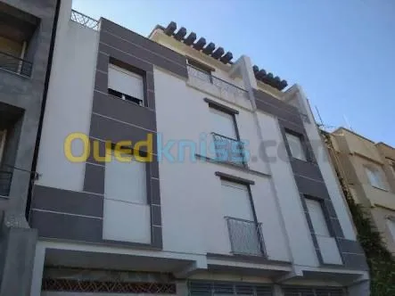 Monocouche Facad 