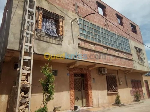Vente Villa Tiaret Ain bouchekif