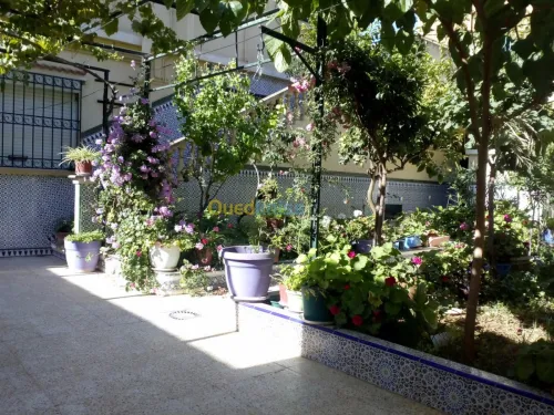 Vente Villa Oran Oran