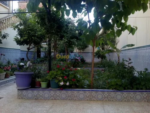 Vente Villa Oran Oran