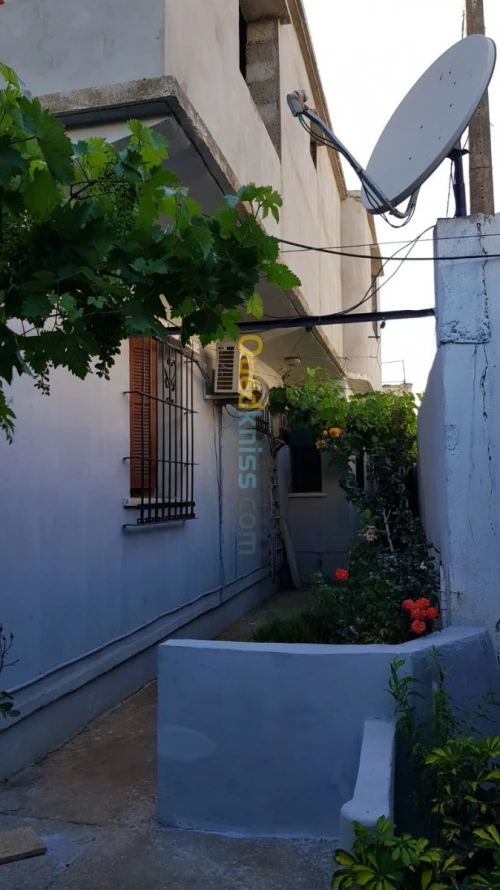 Vente Carcasse Alger Rouiba