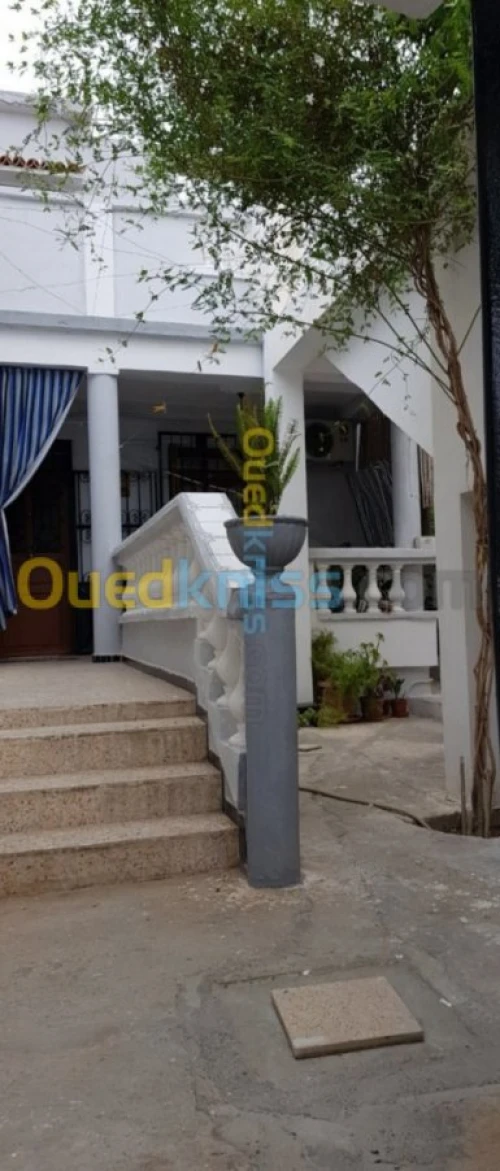 Vente Carcasse Alger Rouiba