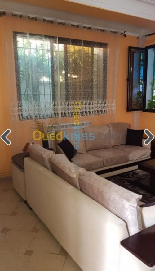 Vente Carcasse Alger Rouiba