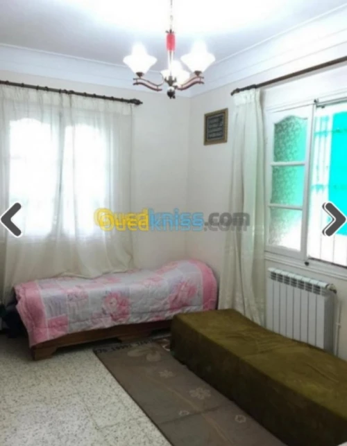 Vente Carcasse Alger Rouiba