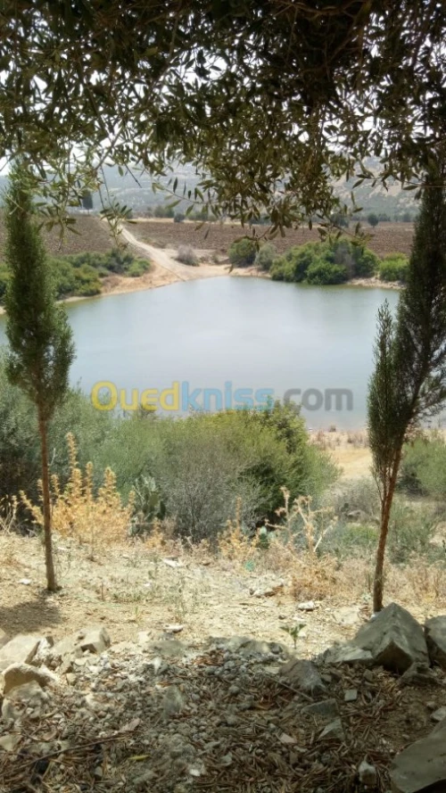 Vente Carcasse Boumerdes Larbatache