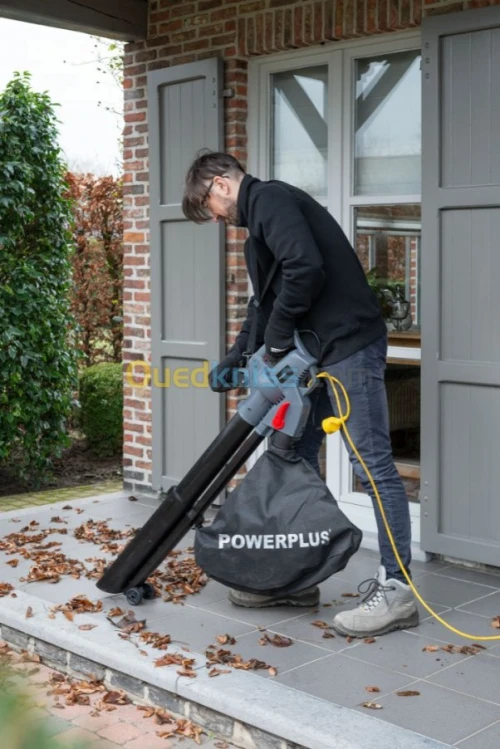 ASPIRATEUR/SOUFFLEUR DE FEUILLES 3300