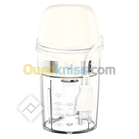 MINI HACHOIRE MOULINEX