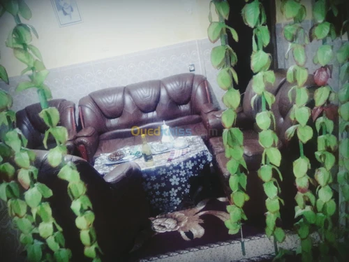 Vente Appartement F4 Bechar Bechar